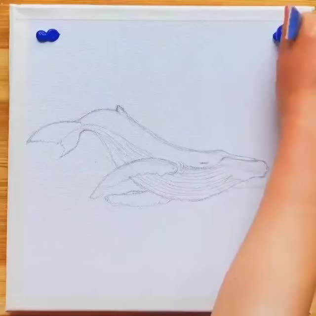 воздушный кит Гиф - Гифис