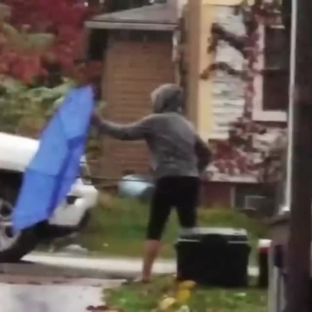 жена пытается выпрямить зонт Гиф - Гифис