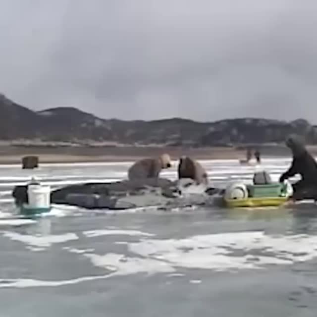 ураган против рыбаков Гиф - Гифис