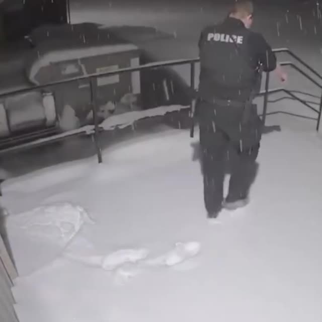 снег не рад полицейскому Гиф - Гифис