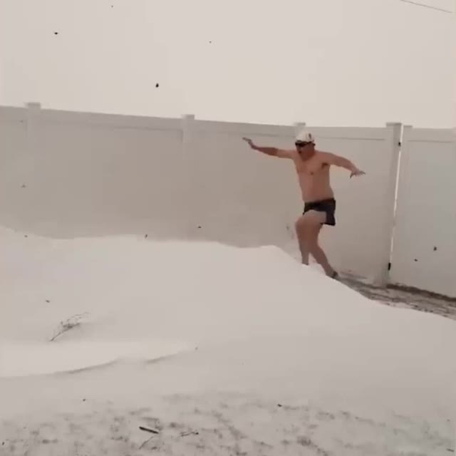 купание в снегу Гиф - Гифис