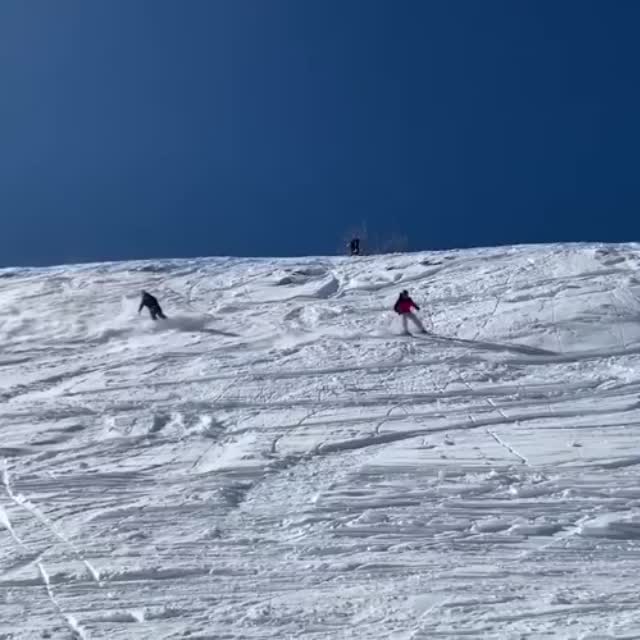 кривоногий на лыжах Гиф - Гифис