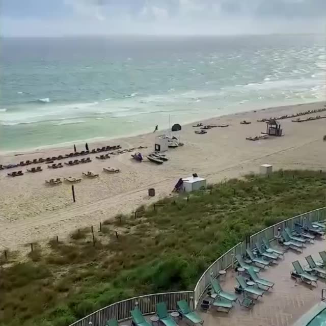 догонялки с пляжным зонтом Гиф - Гифис