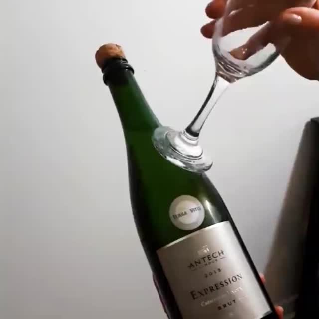как не стоит открывать шампанское Гиф - Гифис