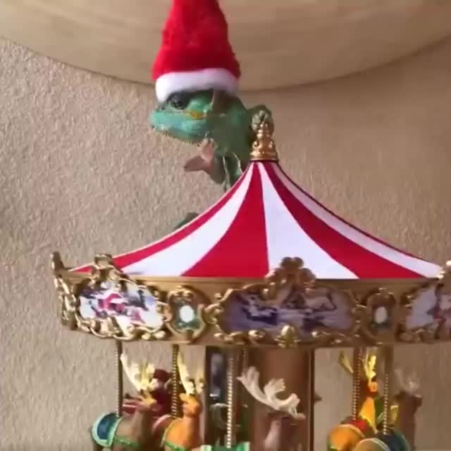 хамелеон в новогодней шапке на карусели Гиф - Гифис
