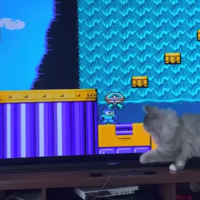 котенок играет в марио Гиф - Гифис