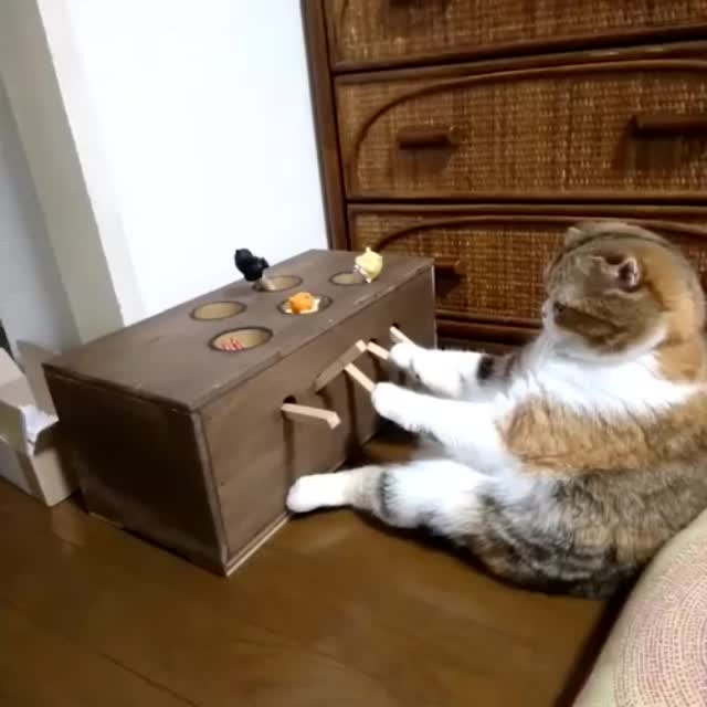 игра крот и жирный кот Гиф - Гифис