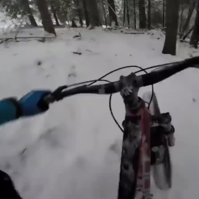на велосипеде по зимнему лесу Гиф - Гифис