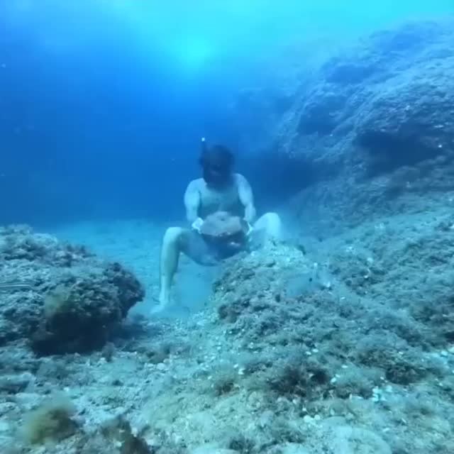 тренировка под водой на выносливость Гиф - Гифис